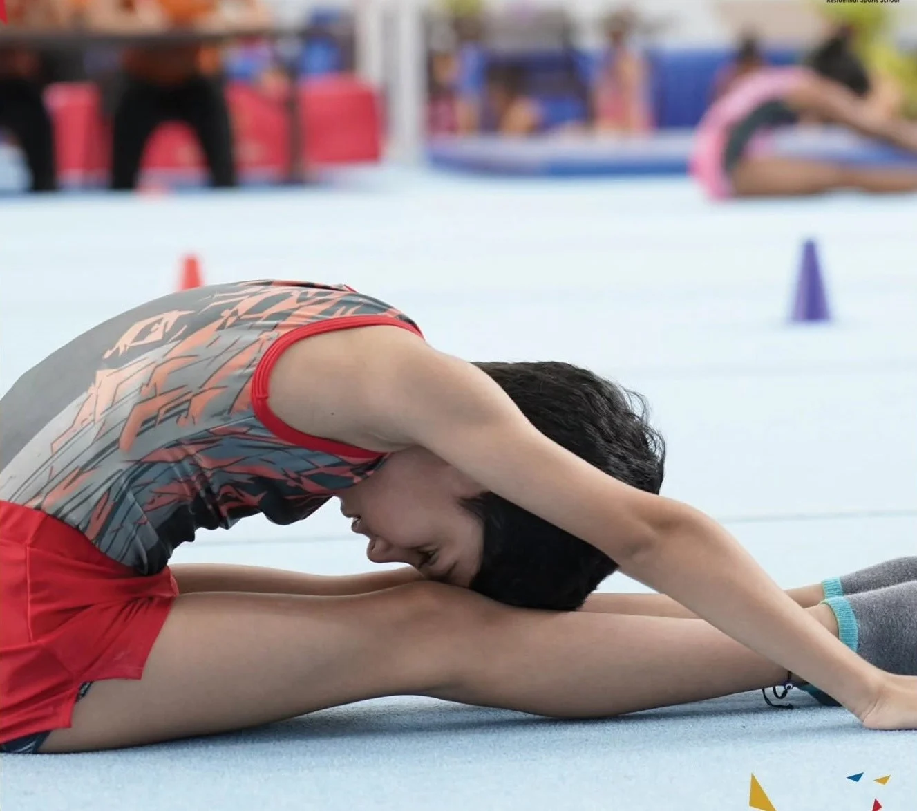 Gymnastics Gallery 3